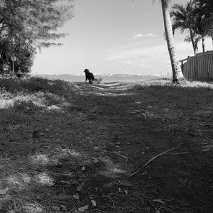 Meet your Posher, Lina